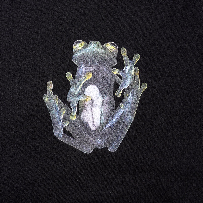 Loose Short Sleeve T-Shirt Kor - Summer Clothing Staples 리뷰 및 가격